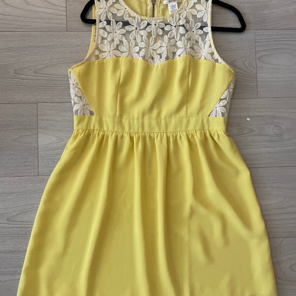 Esley sheer panel embroidered floral mini dress